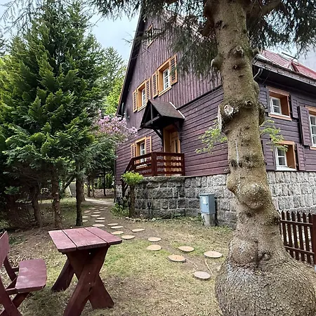 Bialy Jar Ski & Bike Apartamenty W Karpaczu Przy Wyciagu Z Widokiem Apartment